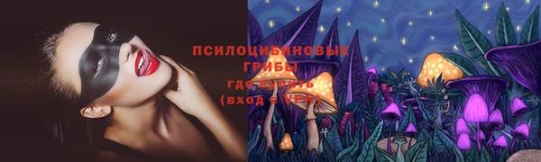 соль ск Алексин