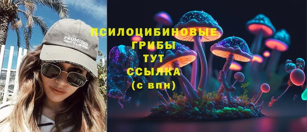 соль ск Алексин